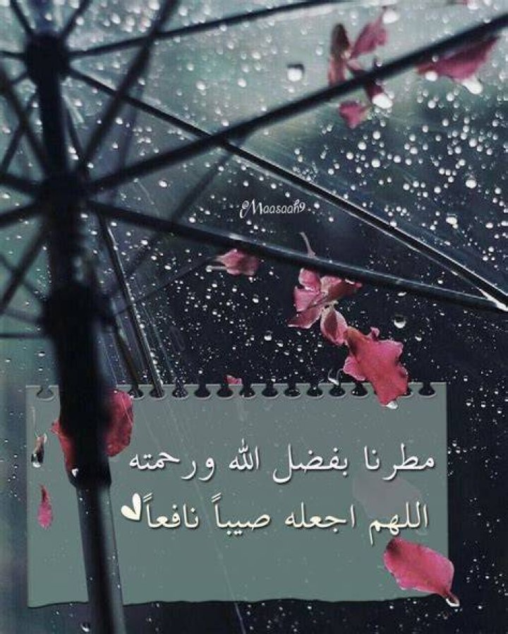 مطرنا بفضل الله ورحمته تويتر: المعنى، الاستخدام، وأفضل طرق النشر